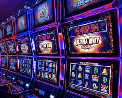 164bet